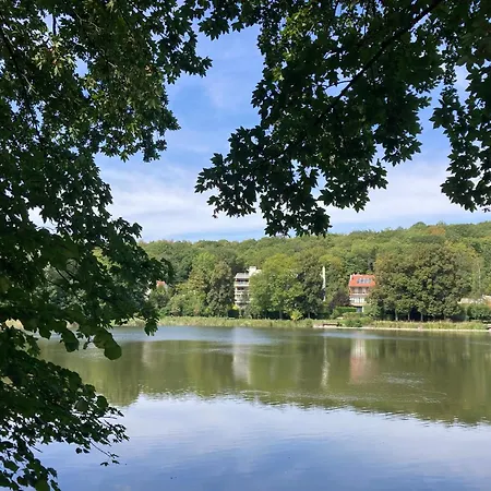 Les Etangs Ville-dʼAvray